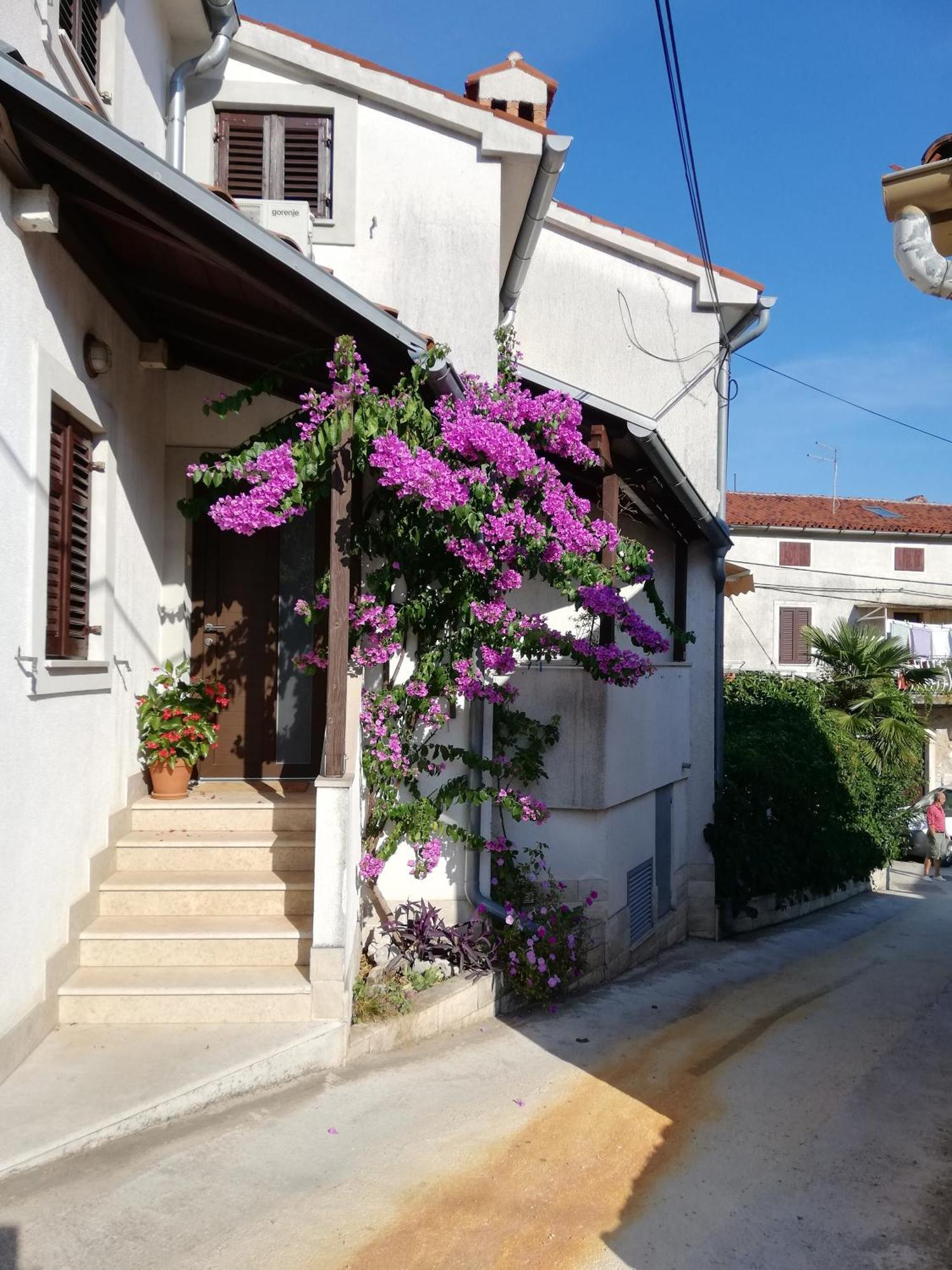 Apartments Renata - Брсеч Экстерьер фото